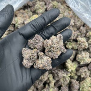 Silky gelato