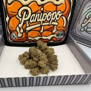 COASTBOYZ PANIPOPO -