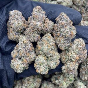 Purple LCG
