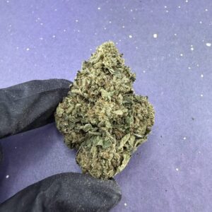 B09 Jet Fuel
