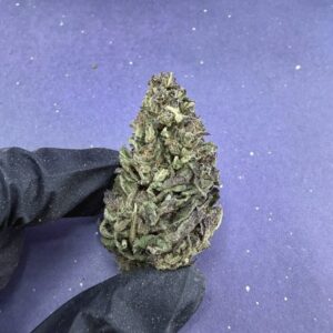 B08 Cloud KUS