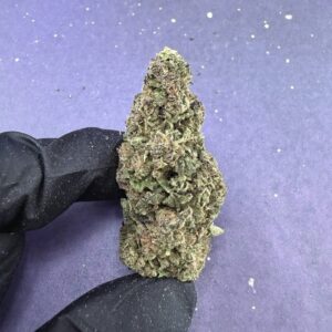 B03 Zkittlez