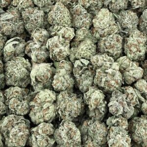 S27 Gelato 41 Smalls