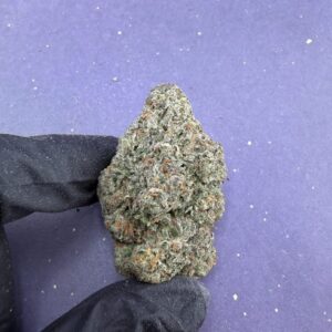 B43 Gelato 47