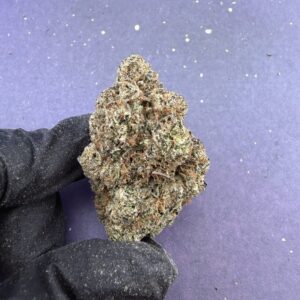 B41 Sugar Blossom