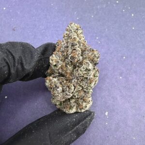 B80 Candy Gelato 33